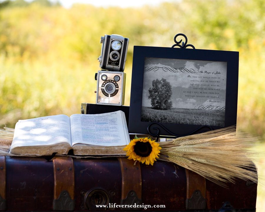 1 Chronicles 4 — THE PRAYER OF JABEZ - Image 4