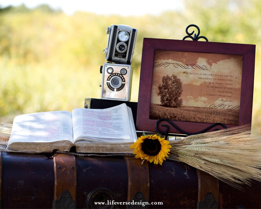2 Chronicles 16 — EYES OF THE LORD - Image 3