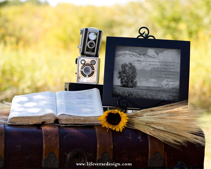 2 Chronicles 16 — EYES OF THE LORD - Image 4