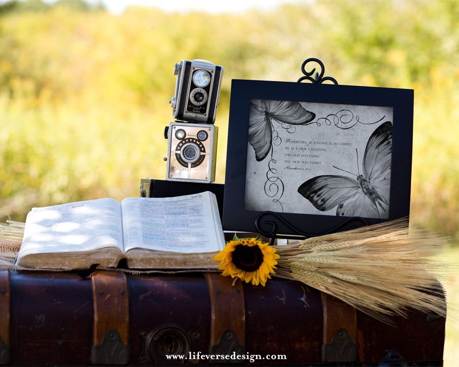 2 Corinthians 5 — NEW CREATION - Image 4