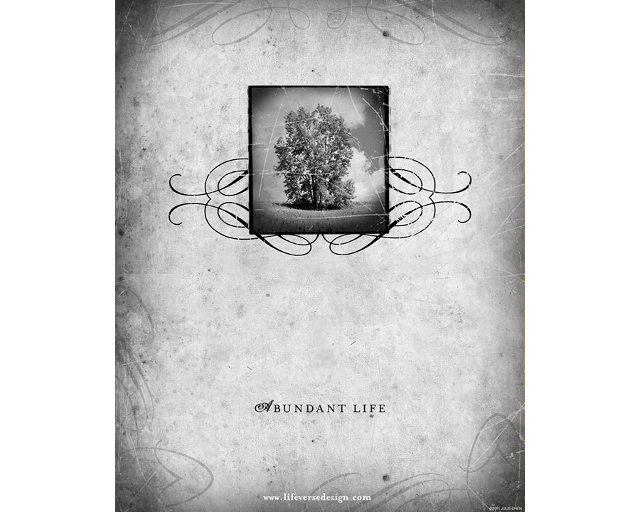 ABUNDANT LIFE - Image 2