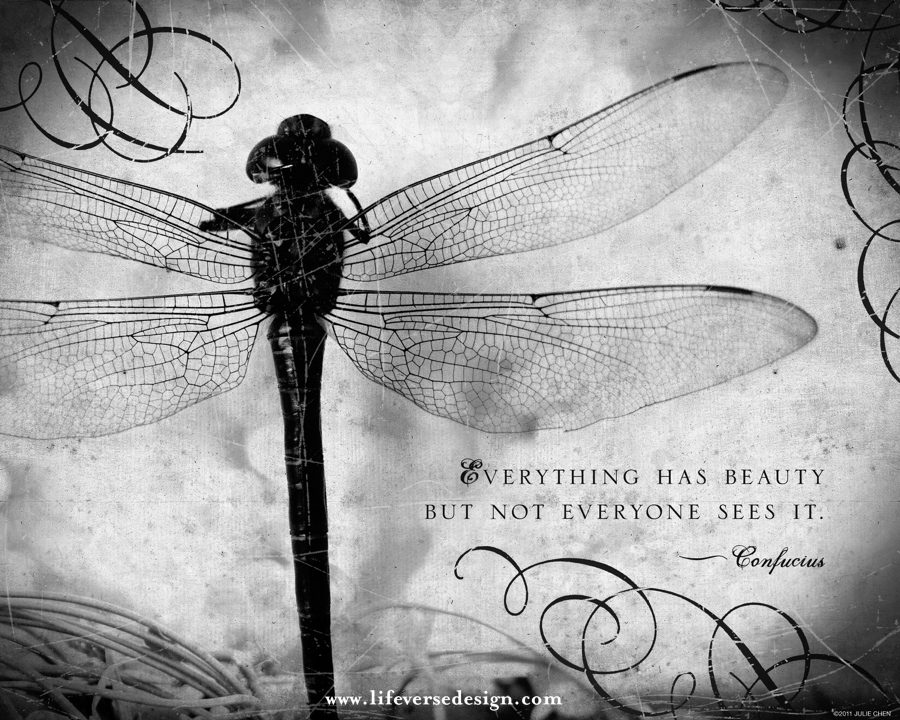 EVERYTHING HAS BEAUTY {Vintage} - Image 2