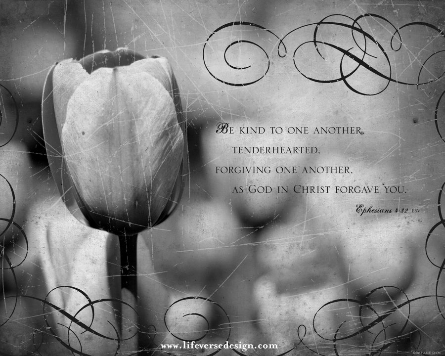 Ephesians 4 — TENDERHEARTED - Image 2