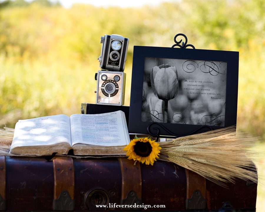 Ephesians 4 — TENDERHEARTED - Image 4