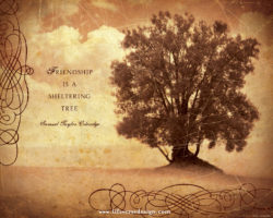 FRIENDSHIP TREE