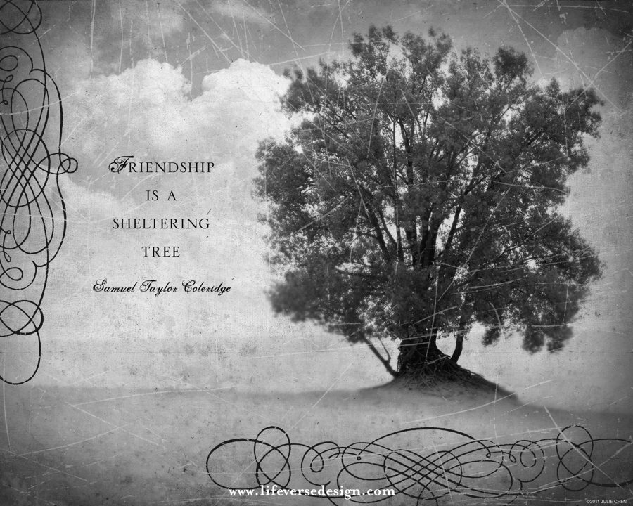 FRIENDSHIP TREE - Image 2