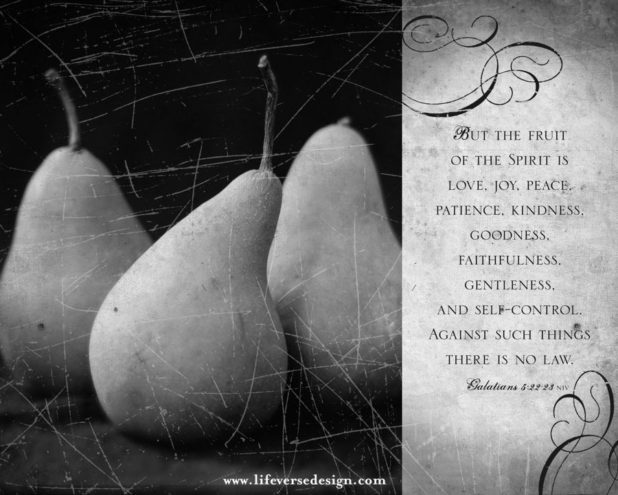 Galatians 5 — FRUIT OF THE SPIRIT {Vintage} - Image 2