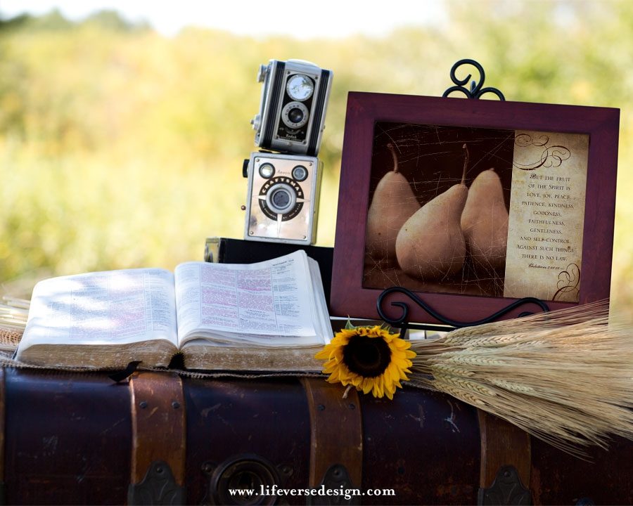 Galatians 5 — FRUIT OF THE SPIRIT {Vintage} - Image 3