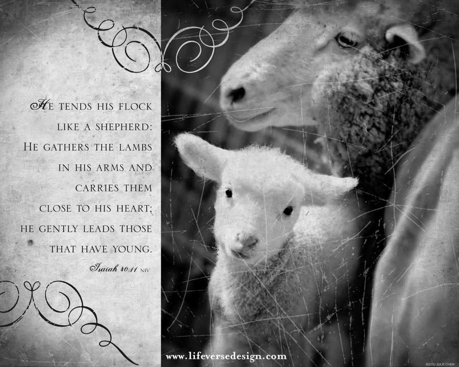 Isaiah 40 — HE GENTLY LEADS - Image 2