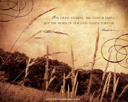 Isaiah 40 — THE WORD OF GOD
