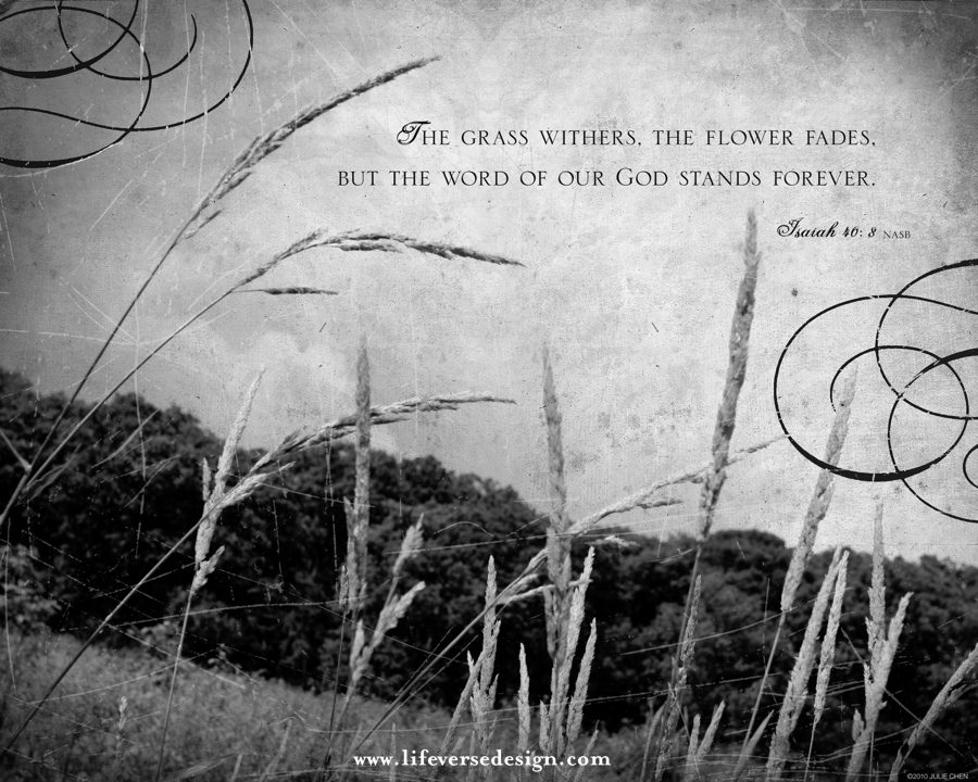 Isaiah 40 — THE WORD OF GOD - Image 2