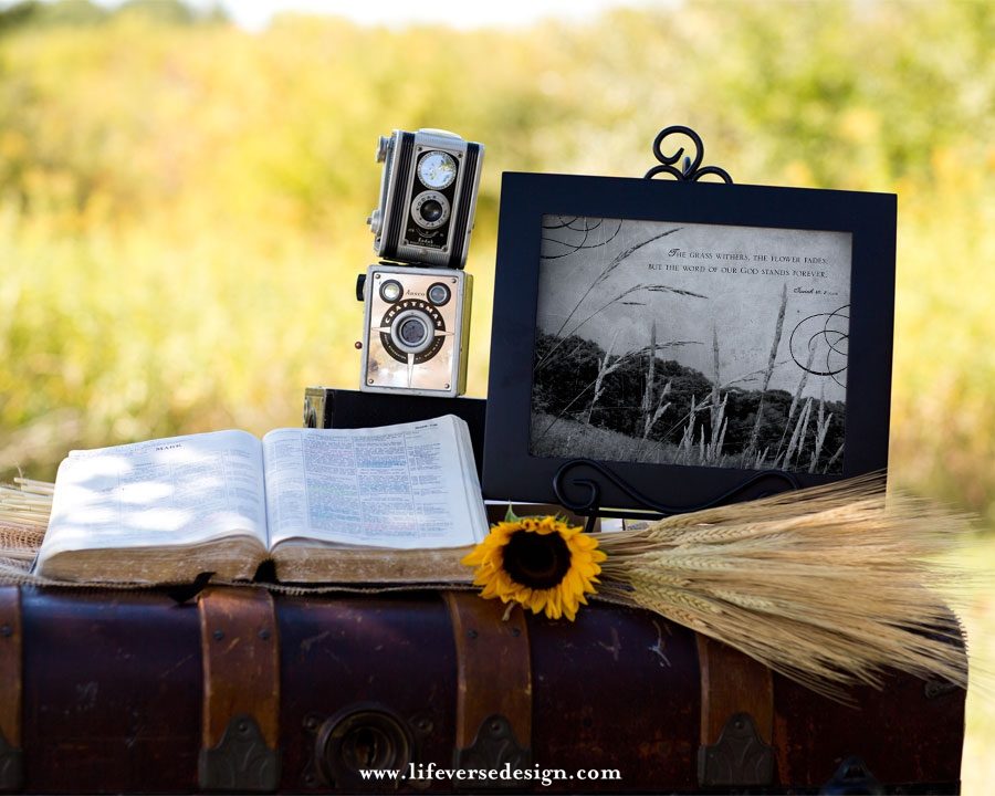 Isaiah 40 — THE WORD OF GOD - Image 4
