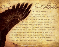 Isaiah 40 — WINGS OF EAGLES
