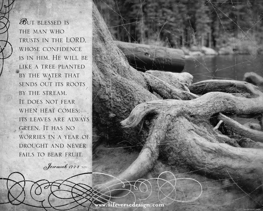 Jeremiah 17 — LIKE A TREE - Image 2