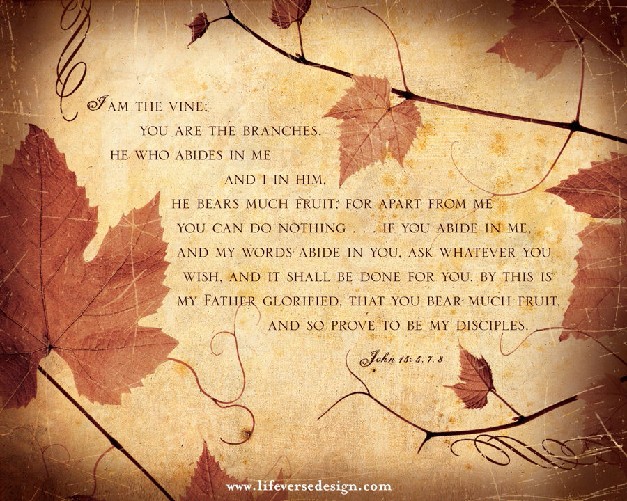 John 15 — ABIDE