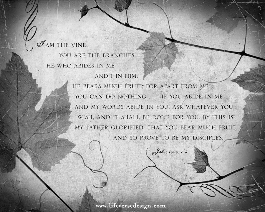 John 15 — ABIDE - Image 2