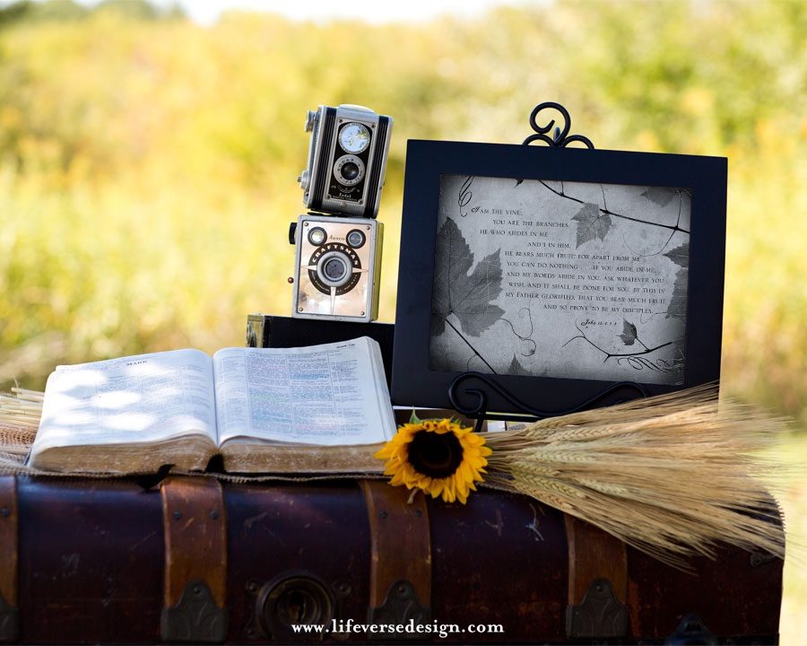 John 15 — ABIDE - Image 4