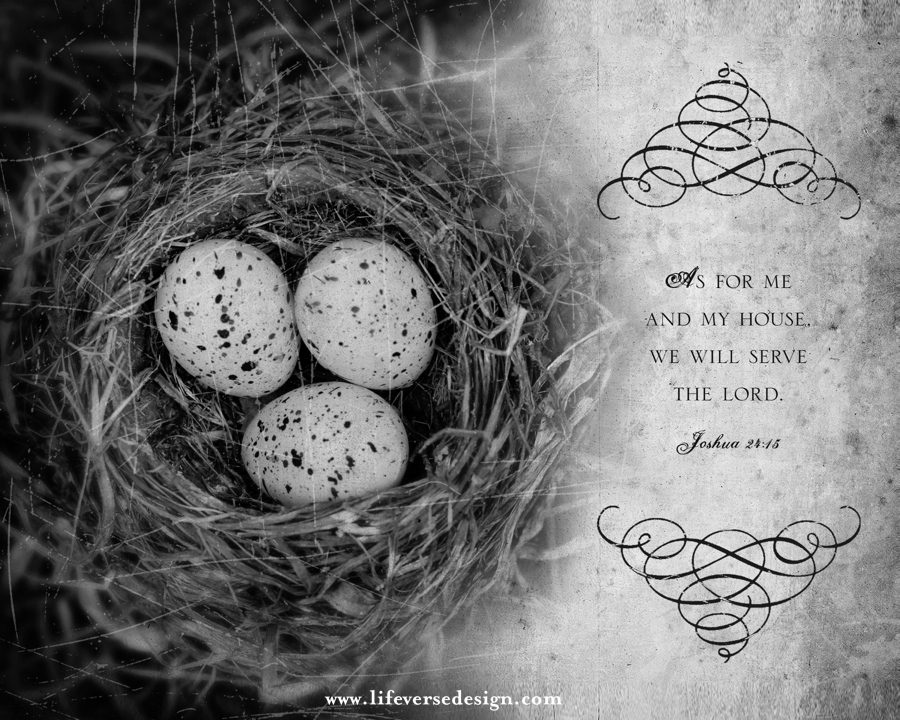 Joshua 24 — MY HOUSE {Vintage} - Image 2