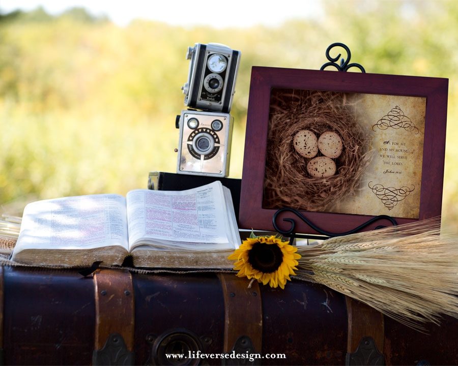 Joshua 24 — MY HOUSE {Vintage} - Image 3