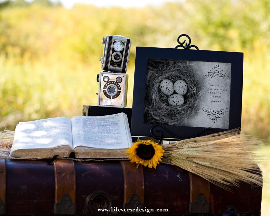 Joshua 24 — MY HOUSE {Vintage} - Image 4