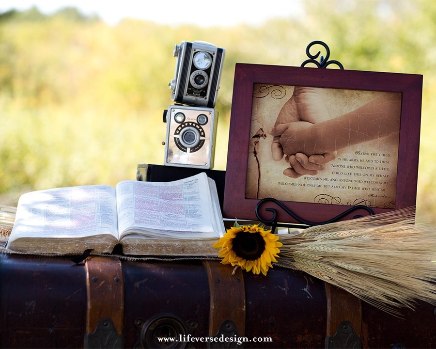 Mark 9 — WELCOME CHILD - Image 3