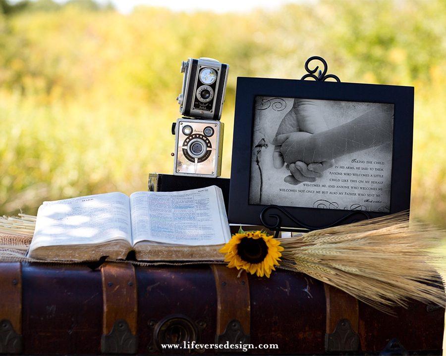Mark 9 — WELCOME CHILD - Image 4