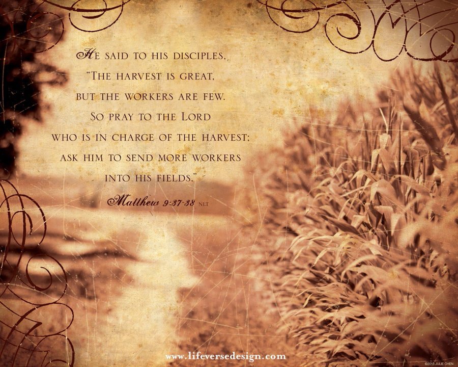 Matthew 9 — THE HARVEST