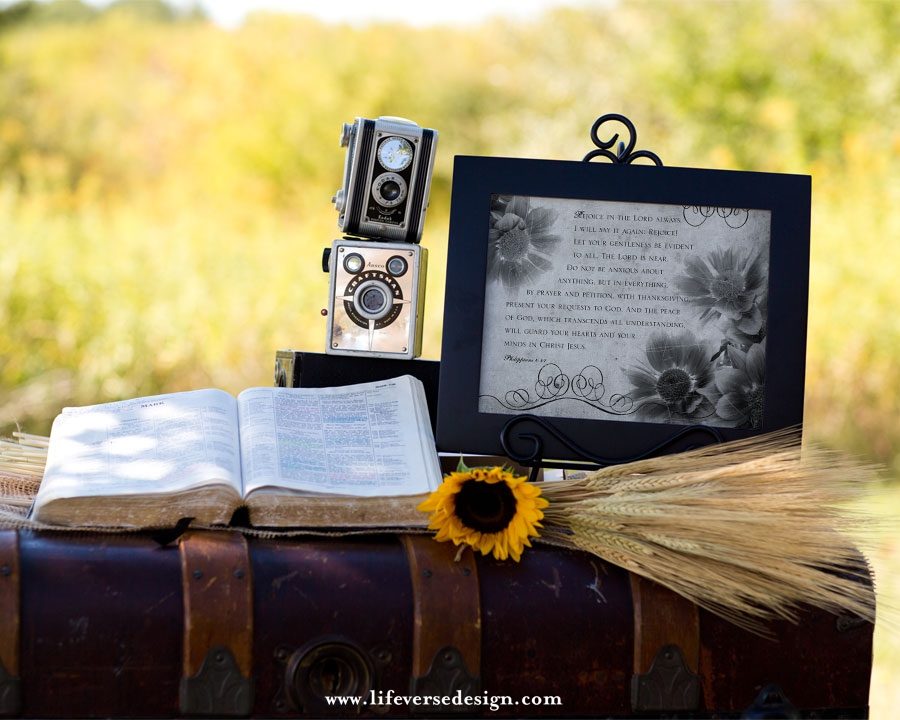 Philippians 4 — REJOICE - Image 4