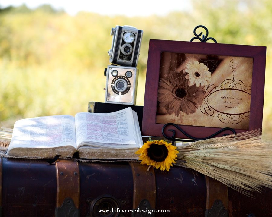 Proverbs 17 — A FRIEND LOVES {Vintage} - Image 3