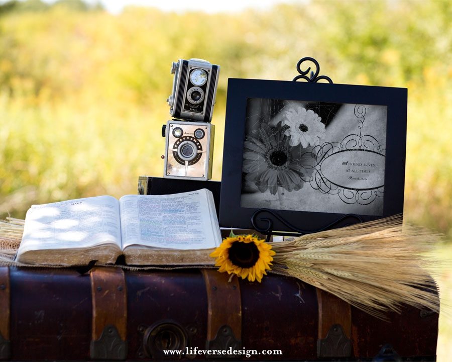 Proverbs 17 — A FRIEND LOVES {Vintage} - Image 4