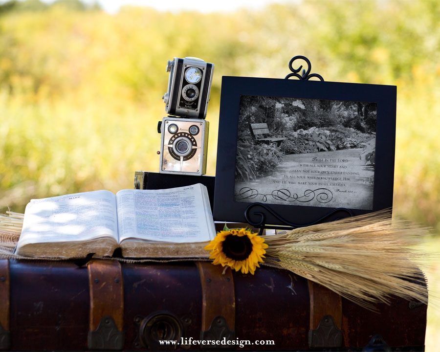 Proverbs 03 — TRUST IN THE LORD {Vintage} - Image 4