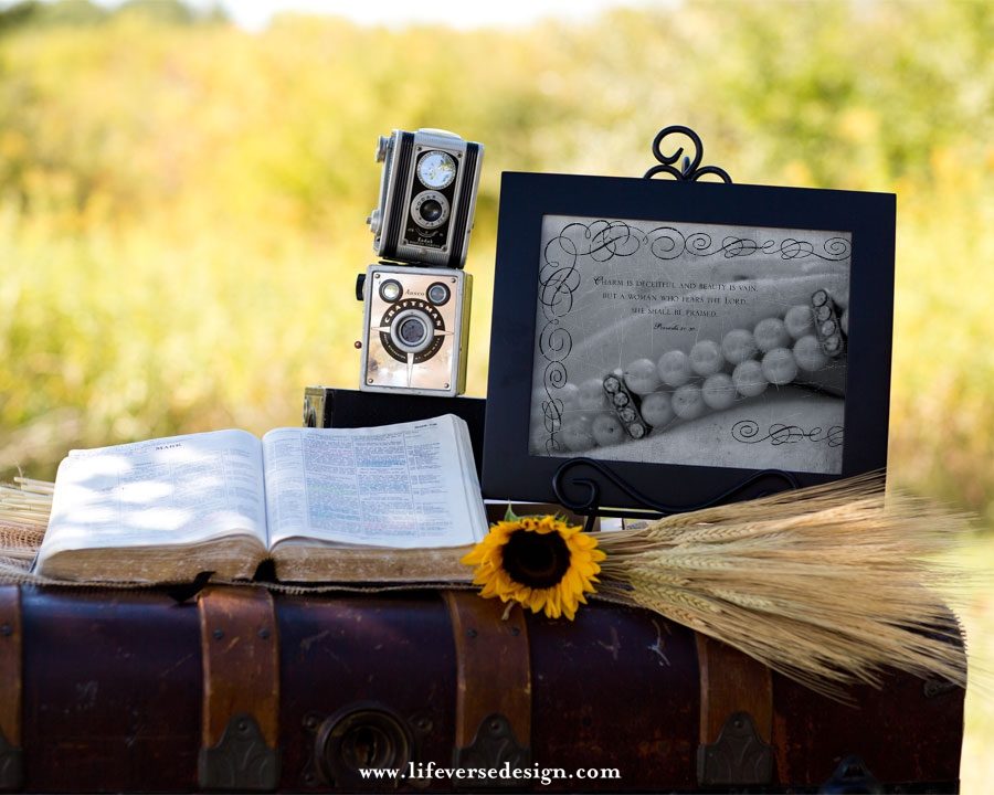 Proverbs 31 — BEAUTY - Image 4