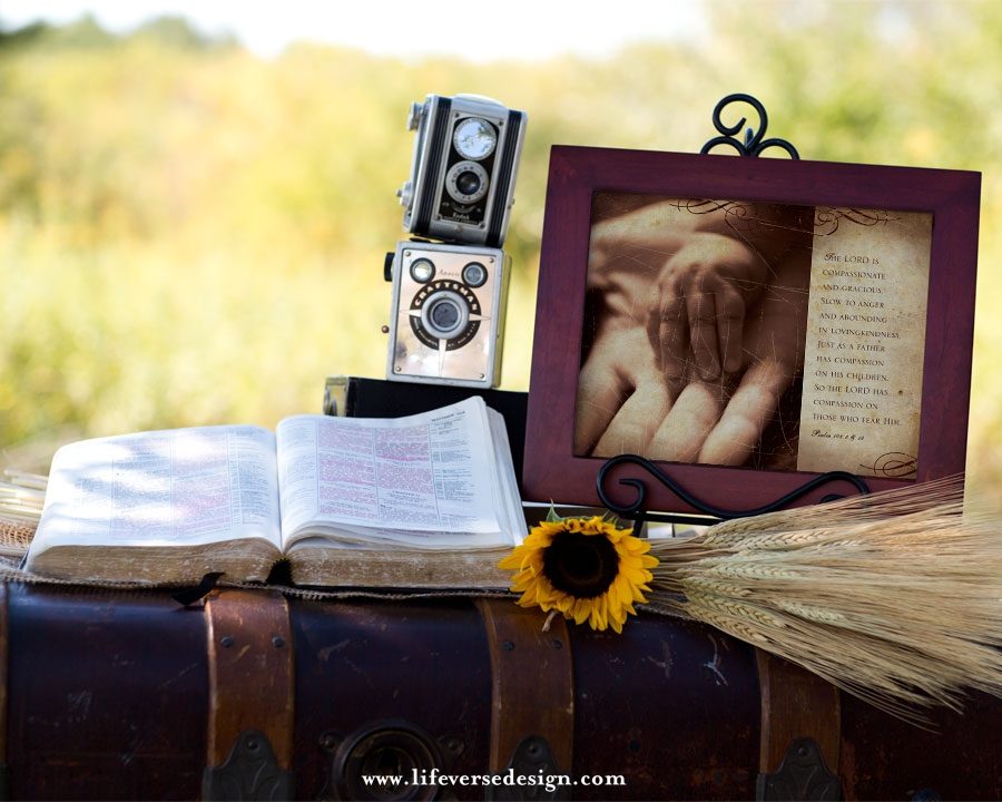 Psalm 103 — THE LORD'S COMPASSION - Image 3