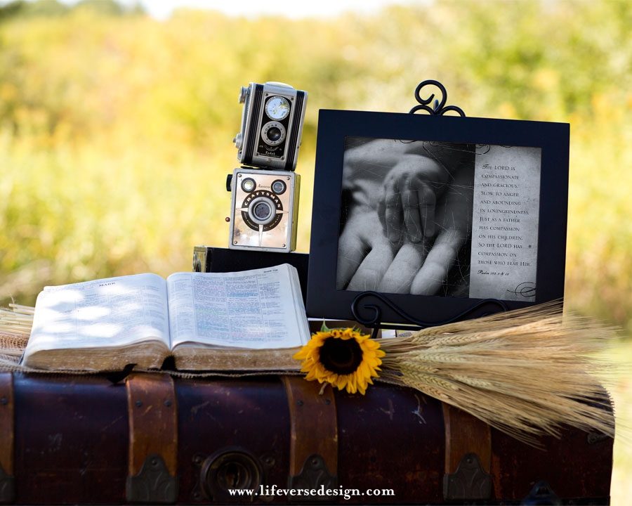 Psalm 103 — THE LORD'S COMPASSION - Image 4