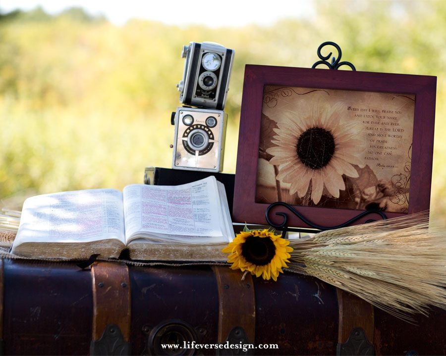 Psalm 145 — EVERY DAY I PRAISE - Image 3