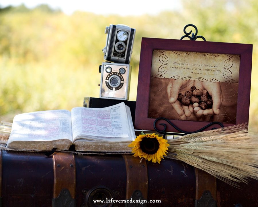 Psalm 034 — TASTE AND SEE {Vintage} - Image 3
