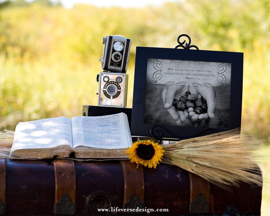 Psalm 034 — TASTE AND SEE {Vintage} - Image 4