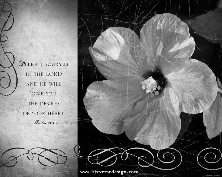 Psalm 037 — DELIGHT - Image 2