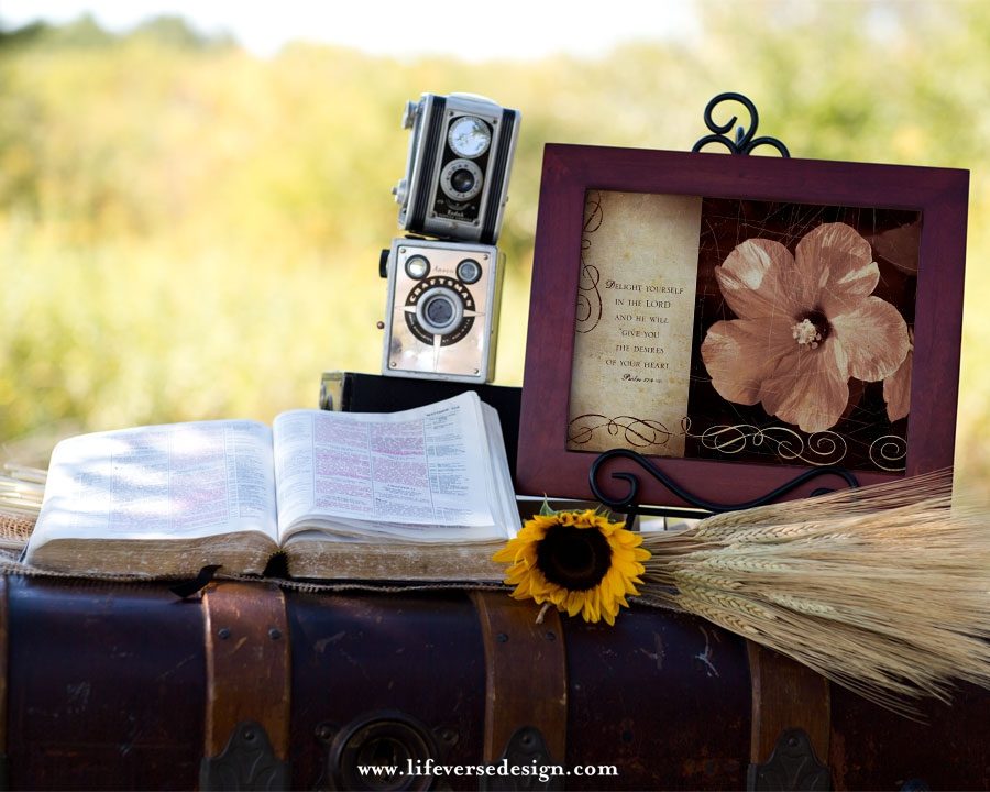 Psalm 037 — DELIGHT - Image 3
