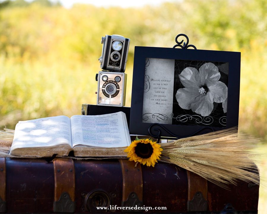 Psalm 037 — DELIGHT - Image 4