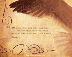 Psalm 091 — COVERED