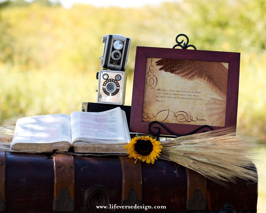 Psalm 091 — COVERED - Image 3