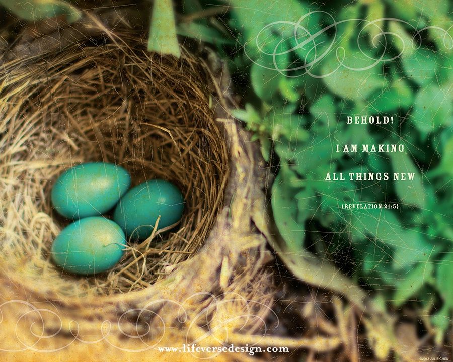 Revelation 21 — ALL THINGS NEW {Color}