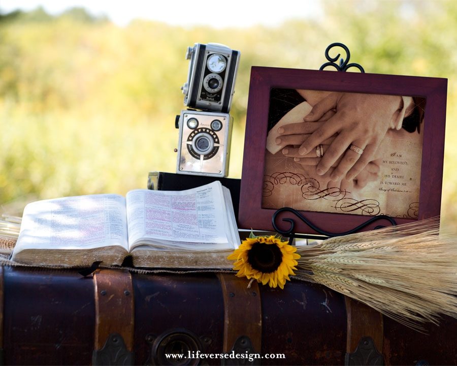Song of Solomon 7 — MY BELOVED - Image 3
