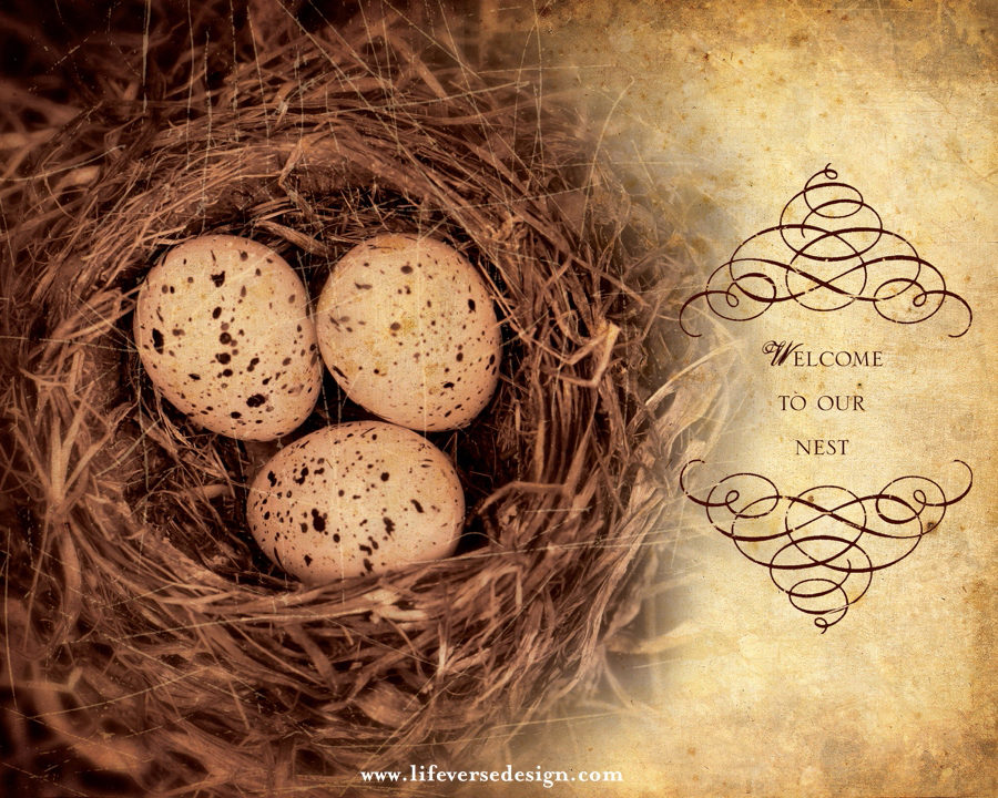 WELCOME TO OUR NEST {Vintage}