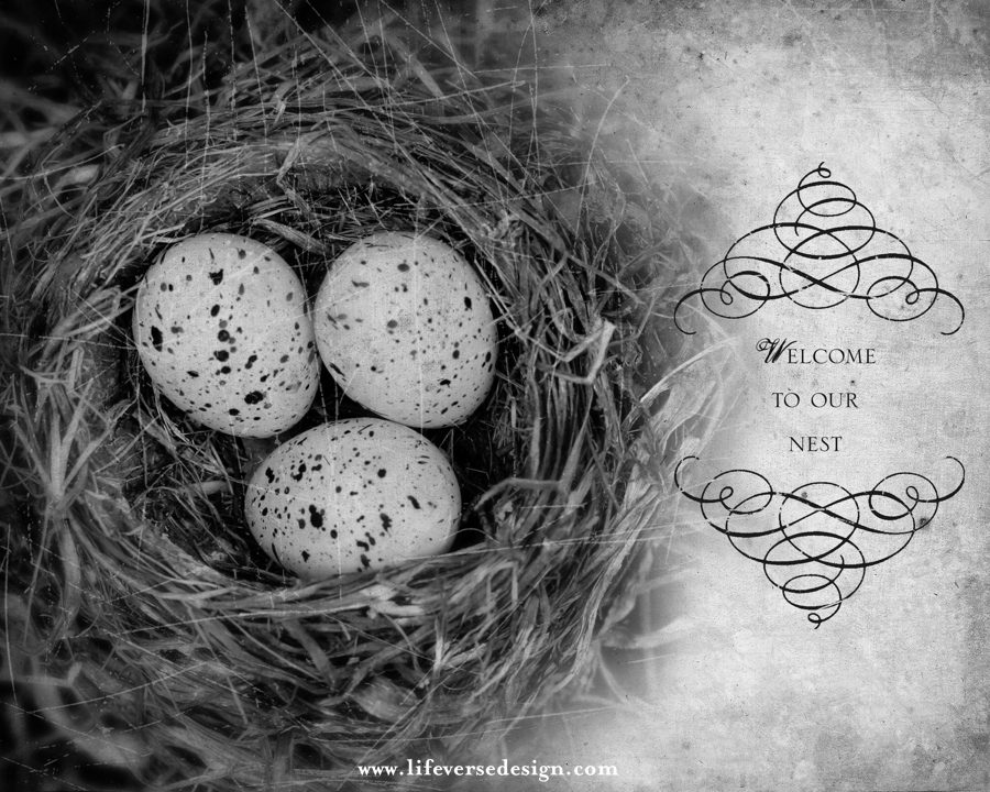 WELCOME TO OUR NEST {Vintage} - Image 2
