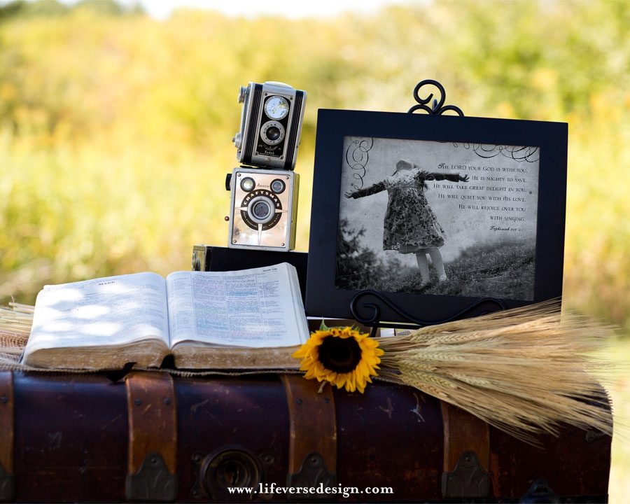 Zephaniah 3 — REJOICE OVER YOU {Vintage} - Image 4